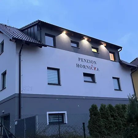 Hornicka 3*