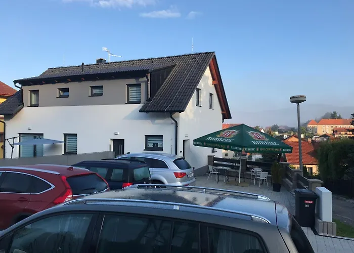 Guest house Hornicka 3*