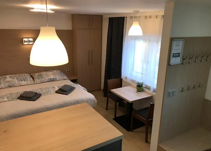 Casa de hóspedes Hornicka 3*